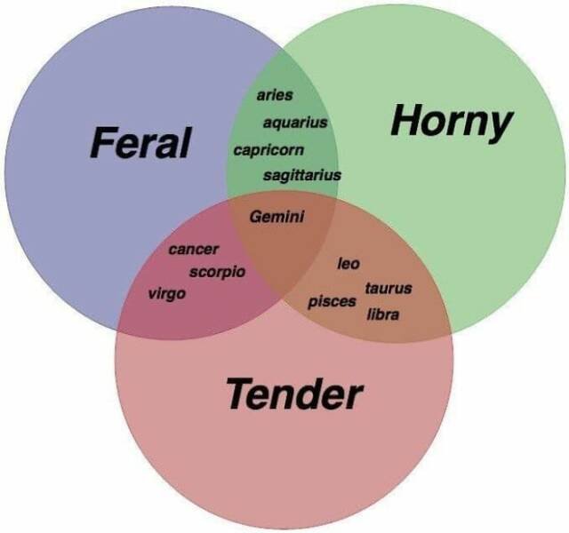 Funny Memes (22 pics) Funny Memes (22 pics)