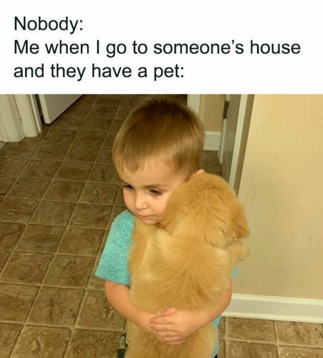 Random Memes (17 pics) Random Memes (17 pics)