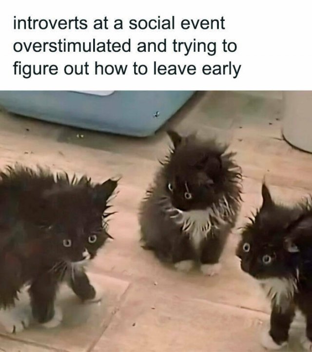 Funny Memes (22 pics) Funny Memes (22 pics)