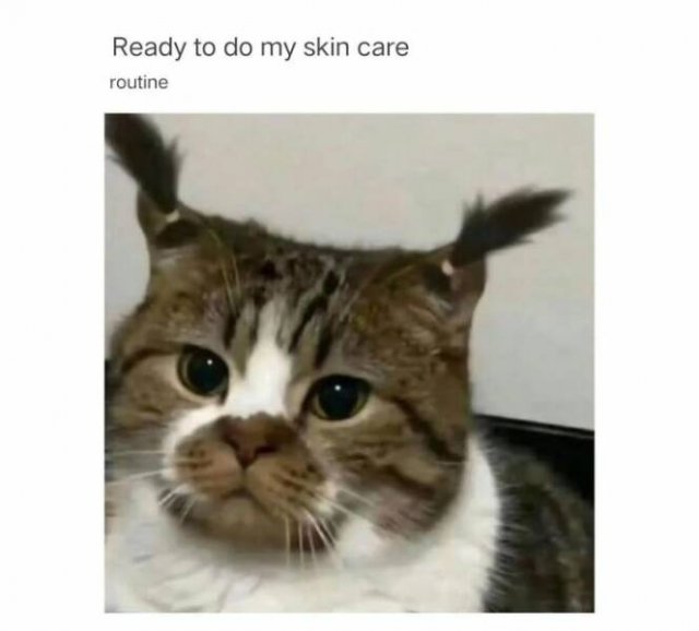 Funny Memes (22 pics) Funny Memes (22 pics)