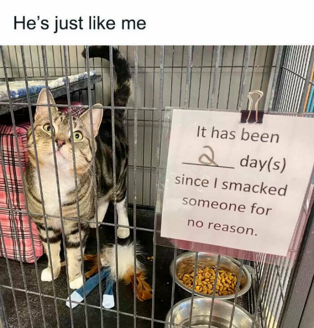 Funny Memes (22 pics) Funny Memes (22 pics)