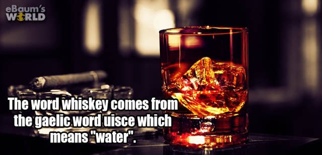 Interesting Facts (35 pics)
