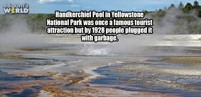 Interesting Facts (35 pics)