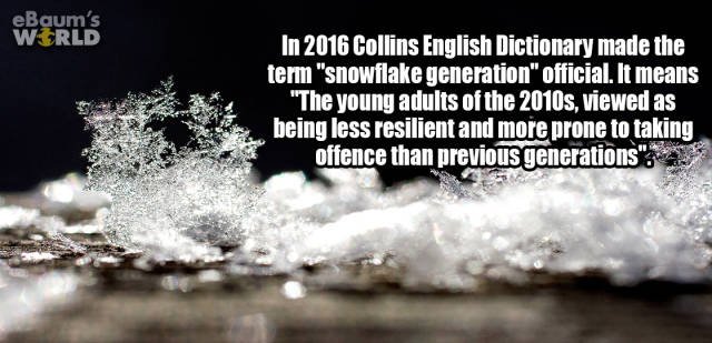 Interesting Facts (35 pics)