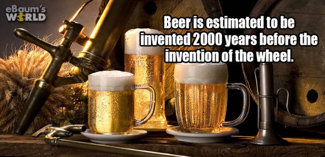 Interesting Facts (35 pics)