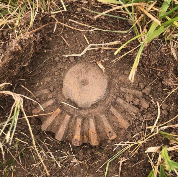 What Are These Things? (16 pics)