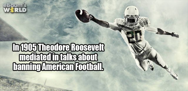 Interesting Facts (35 pics)