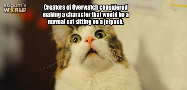 Interesting Facts (35 pics)