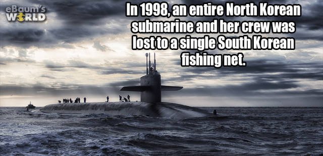 Interesting Facts (35 pics)