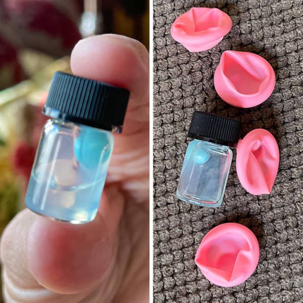 What Are These Things? (16 pics)