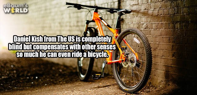 Interesting Facts (35 pics)