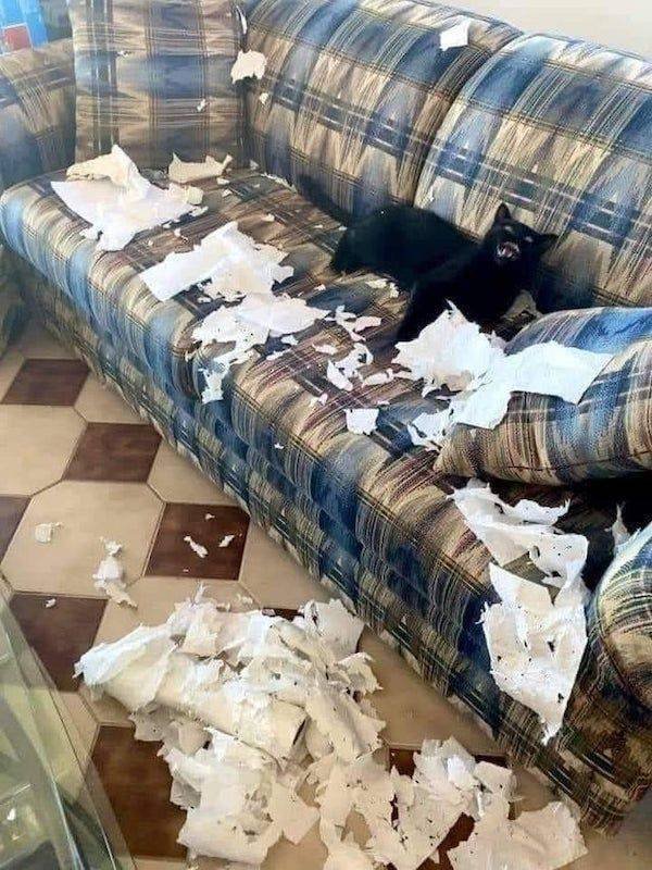 Bad Days Happen (39 pics) Bad Days Happen (39 pics)