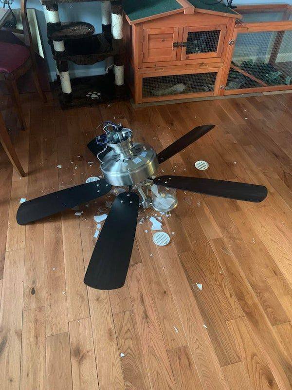 Bad Days Happen (39 pics) Bad Days Happen (39 pics)