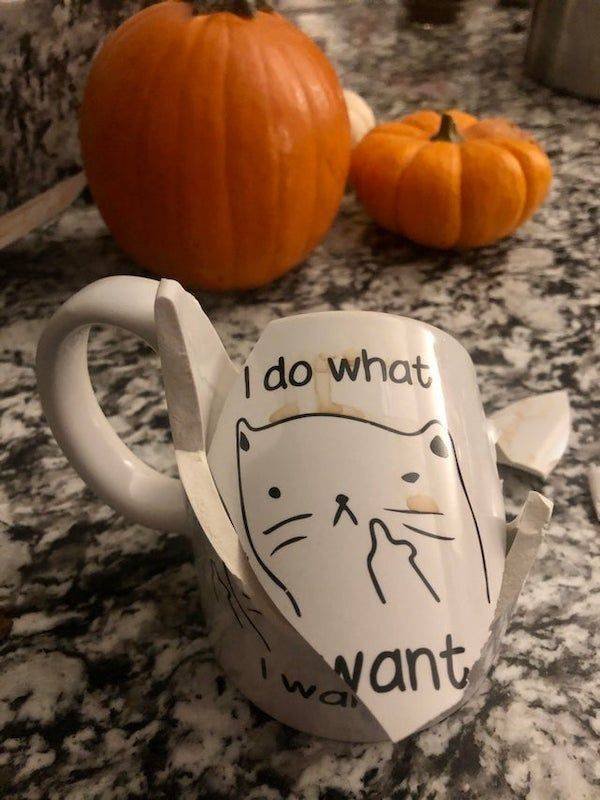 Bad Days Happen (39 pics) Bad Days Happen (39 pics)