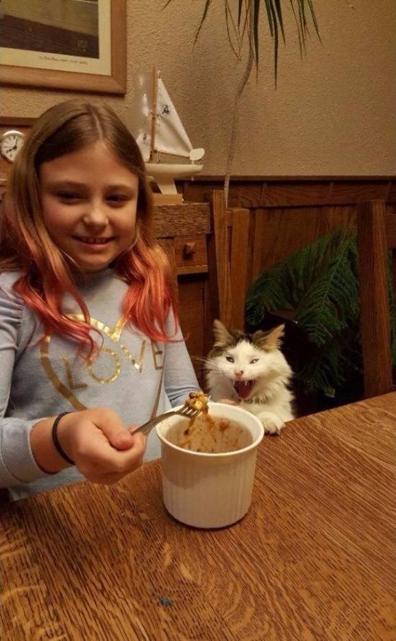 Interesting Finds And Photos (43 pics) Interesting Finds And Photos (43 pics)
