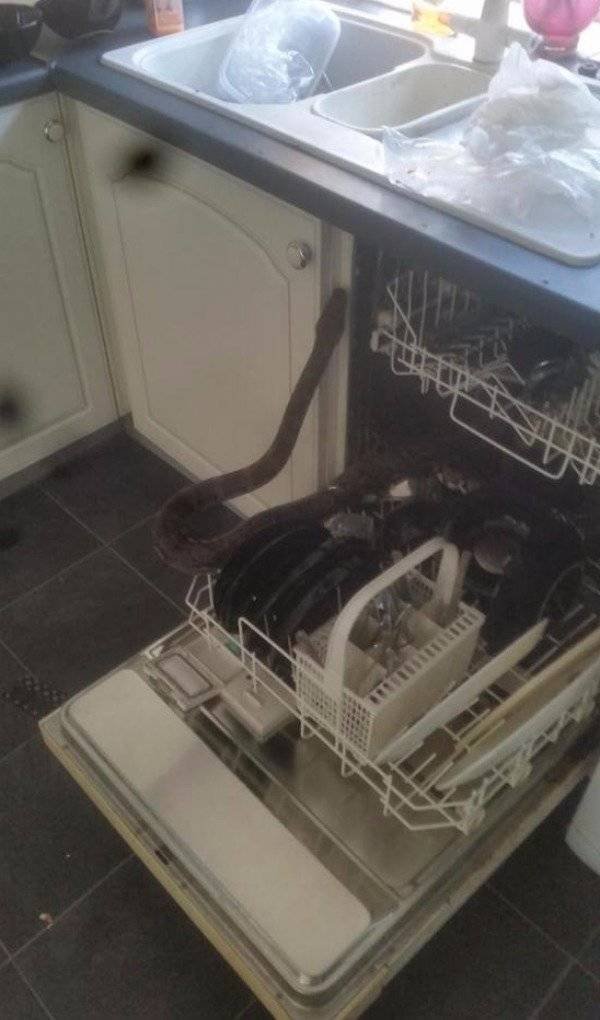 Interesting Finds And Photos (43 pics) Interesting Finds And Photos (43 pics)