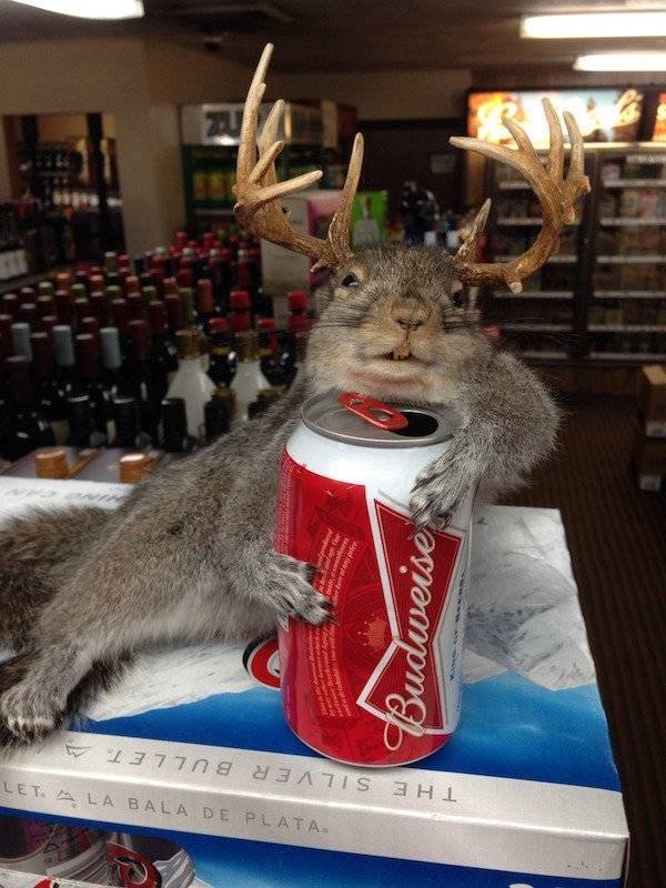 Interesting Finds And Photos (43 pics) Interesting Finds And Photos (43 pics)