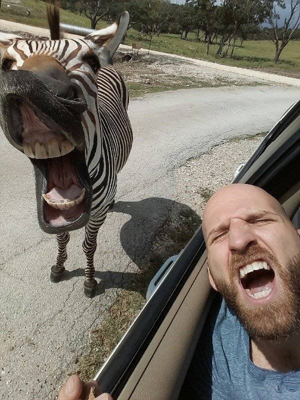 Interesting Finds And Photos (43 pics) Interesting Finds And Photos (43 pics)