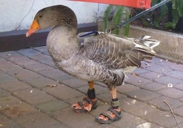 Interesting Finds And Photos (43 pics) Interesting Finds And Photos (43 pics)