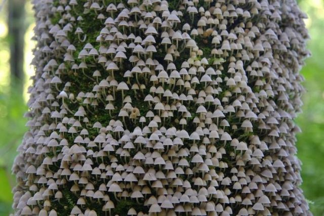 Interesting Finds And Photos (43 pics) Interesting Finds And Photos (43 pics)
