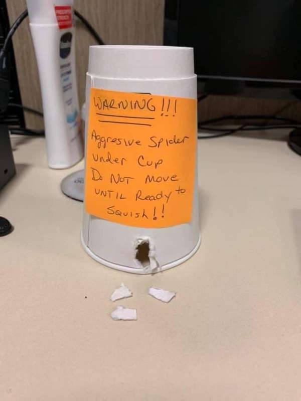 Husbands With A Good Sense Of Humor (26 pics)
