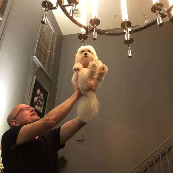 Husbands With A Good Sense Of Humor (26 pics)