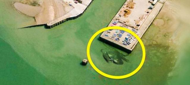 Unusual Finds On Google Maps (14 pics)