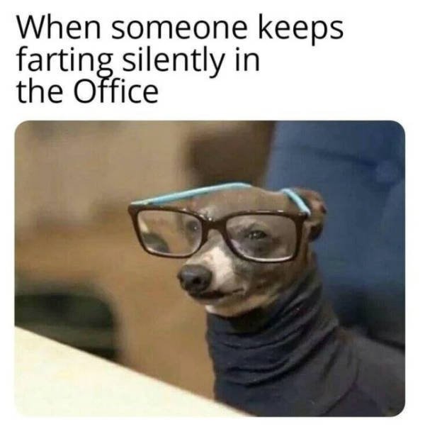 Funny Work Photos (50 pics) Funny Work Photos (50 pics)