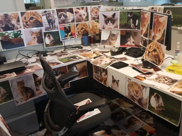 Funny Work Photos (50 pics) Funny Work Photos (50 pics)