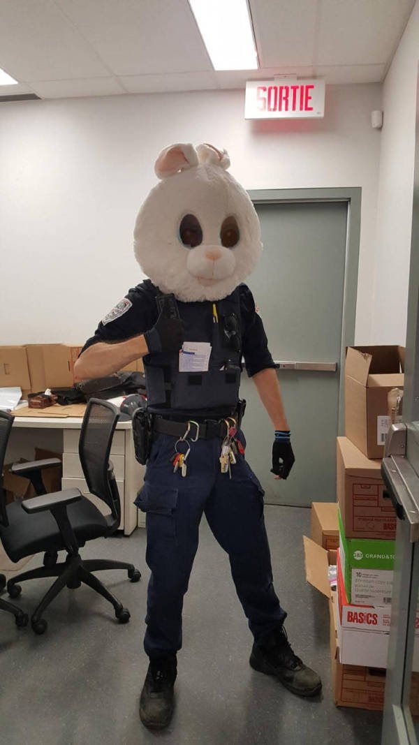 Funny Work Photos (50 pics) Funny Work Photos (50 pics)
