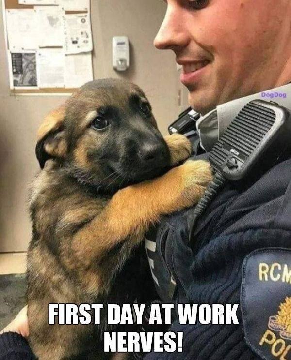 Funny Work Photos (50 pics) Funny Work Photos (50 pics)