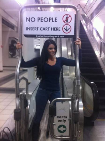 They Don't Care About The Rules (54 pics)