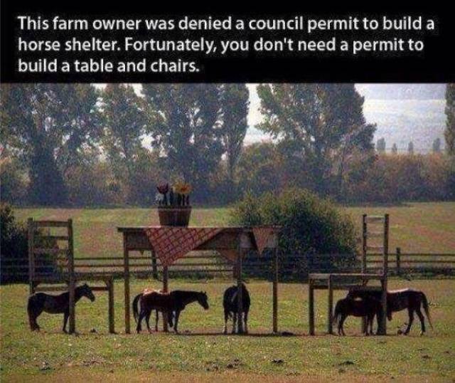 They Don't Care About The Rules (54 pics)