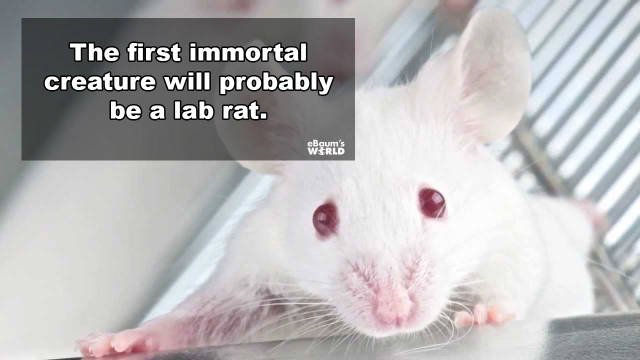 Odd Thoughts (22 pics) Odd Thoughts (22 pics)