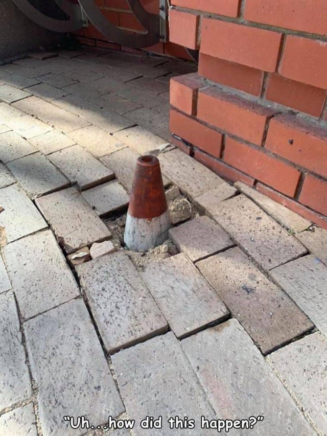 Annoying Finds And Situations (50 pics) Annoying Finds And Situations (50 pics)