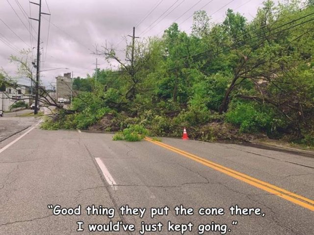 Annoying Finds And Situations (50 pics) Annoying Finds And Situations (50 pics)