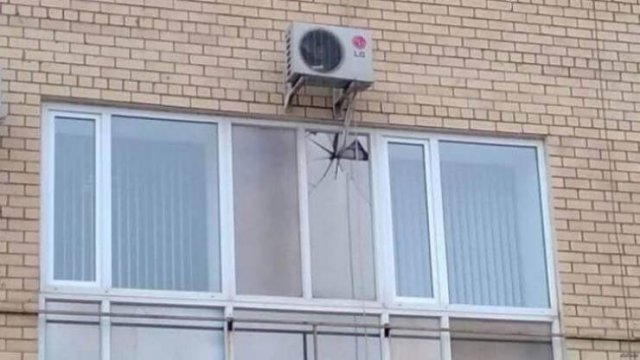 Annoying Finds And Situations (50 pics) Annoying Finds And Situations (50 pics)
