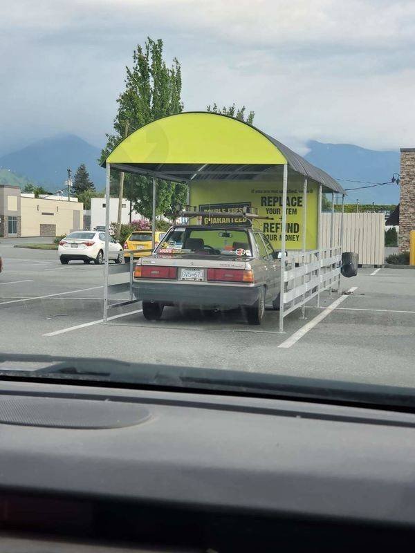 Annoying Finds And Situations (50 pics) Annoying Finds And Situations (50 pics)