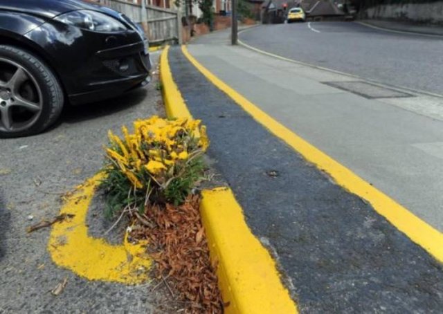 Annoying Finds And Situations (50 pics) Annoying Finds And Situations (50 pics)