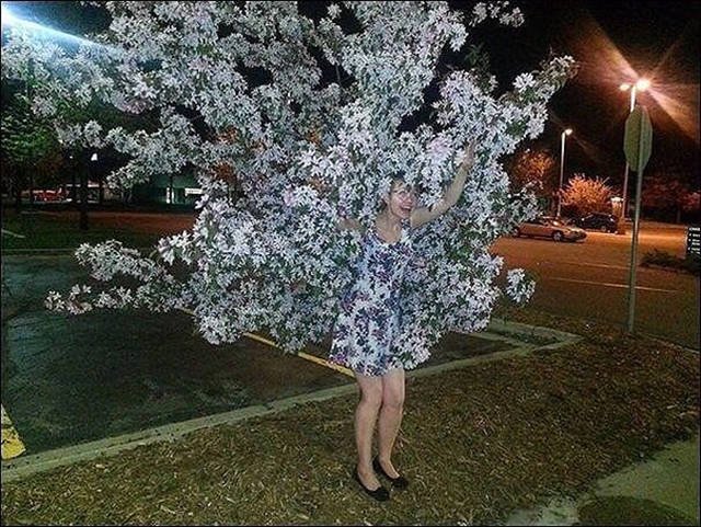 Perfect Camouflage (27 pics)