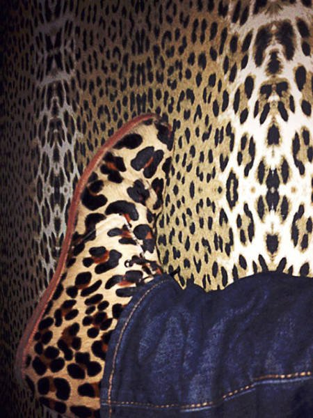 Perfect Camouflage (27 pics)