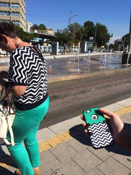 Perfect Camouflage (27 pics)