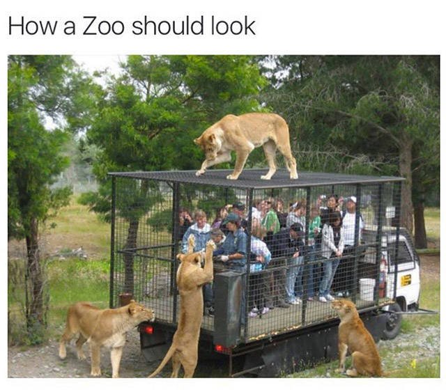 Truthful Memes (41 pics)