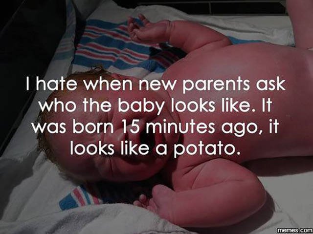 Truthful Memes (41 pics)
