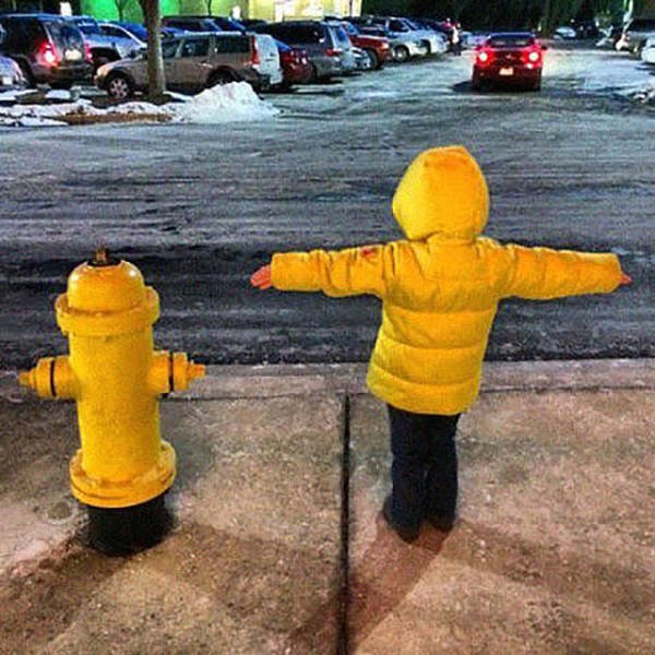 Perfect Camouflage (27 pics)