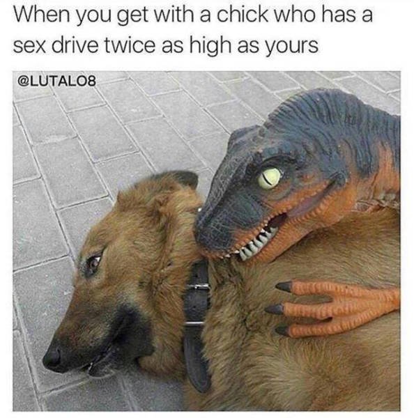 Truthful Memes (41 pics)