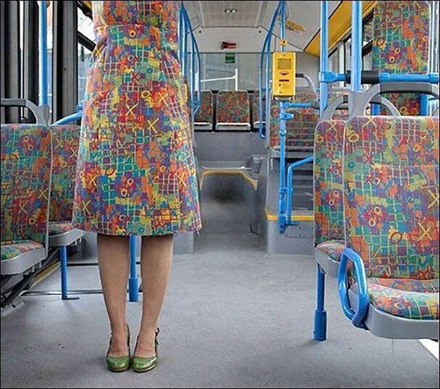 Perfect Camouflage (27 pics)