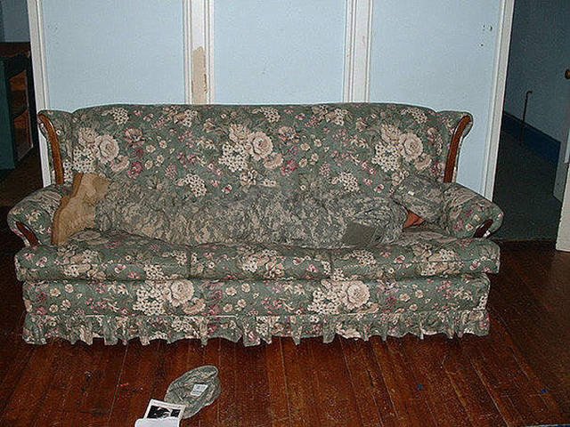 Perfect Camouflage (27 pics)