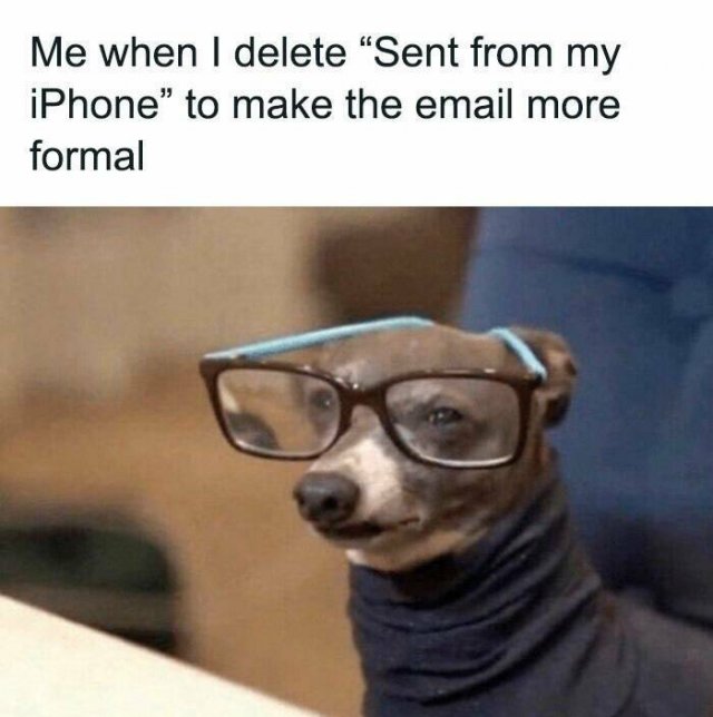 Work Memes (24 pics)