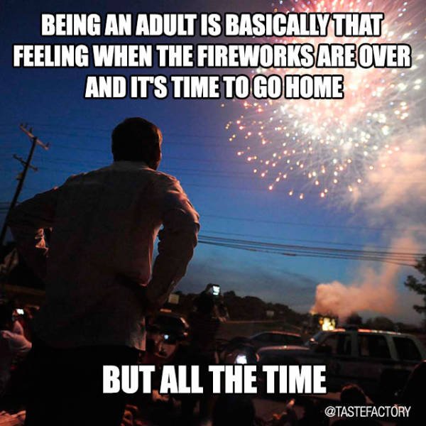 Truthful Memes (41 pics)